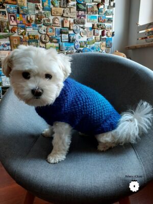 Sweterek dla psa OMBRE